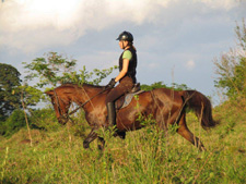 Brazil-Rio/Sao Paulo-Plantation Ride